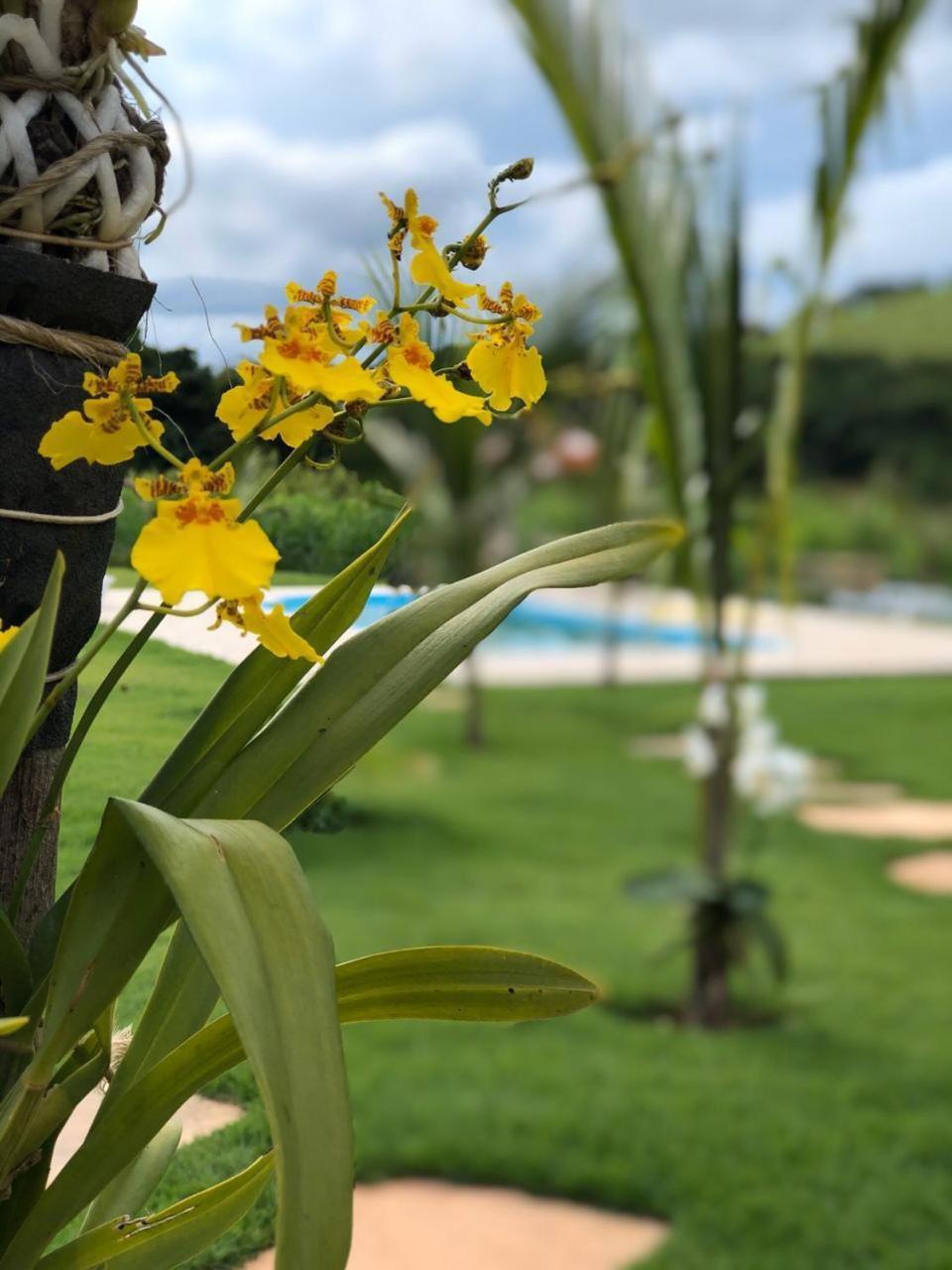 Paraiso Capitolio "A Pousada Da Dona Perpetua" Esterno foto